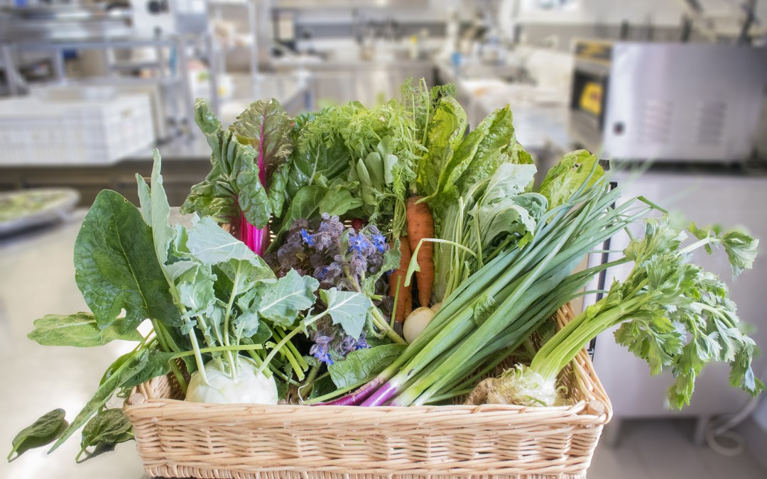 Réception des légumes bio au petit matin en cuisine