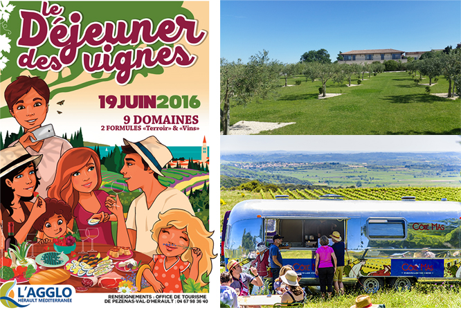 Le Déjeuner dans les vignes dimanche 19 Juin Pique nique sur l’herbe et balade dans les vignes