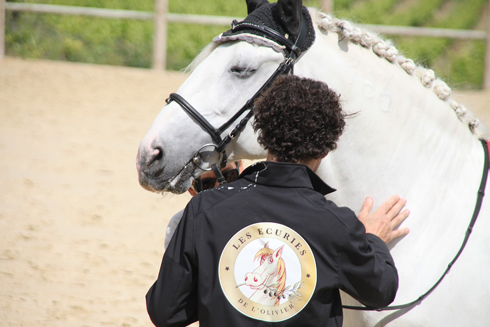 Urtigao, un Pur Sang Lusitanien fait son entrée aux écuries de l’olivier à Montagnac