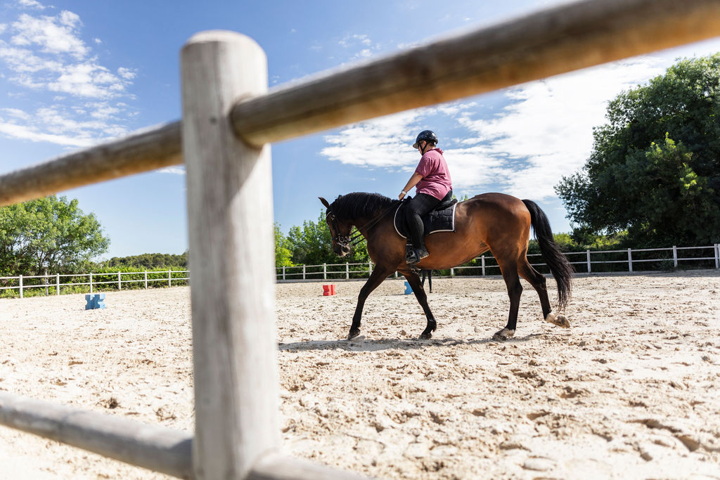 The stables