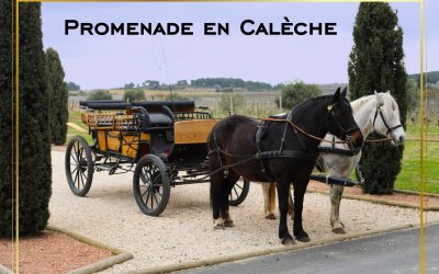 Promenade en Calèche