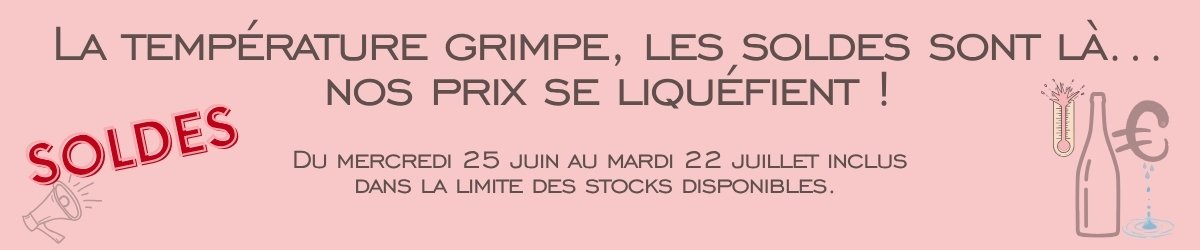 SOLDES ETE 2025 (1)