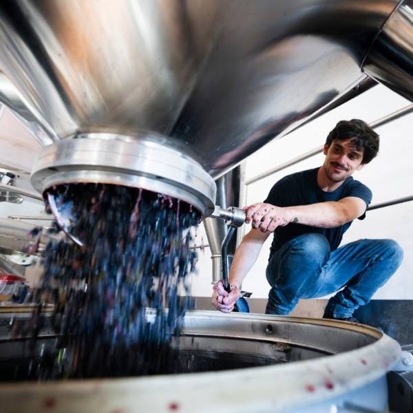 ASTELIA Grand Occitan L’expression suprême des vins du Sud de la France (2)