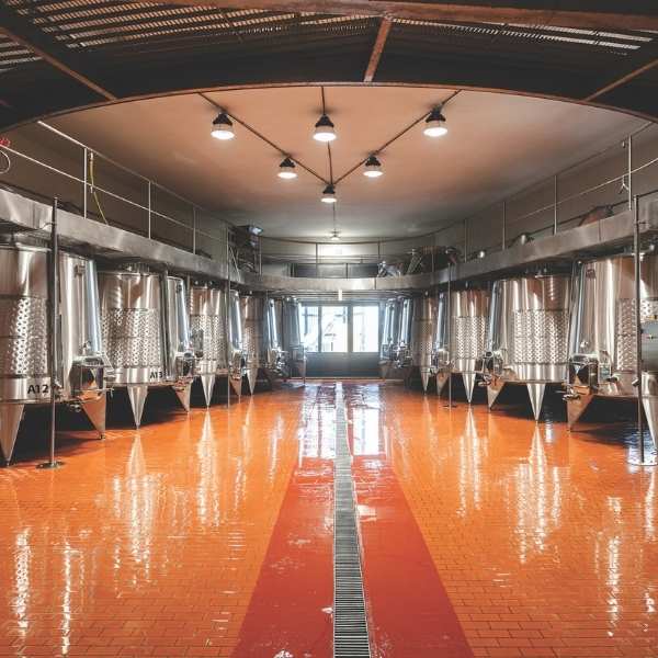 ASTELIA Grand Occitan L’expression suprême des vins du Sud de la France (5)