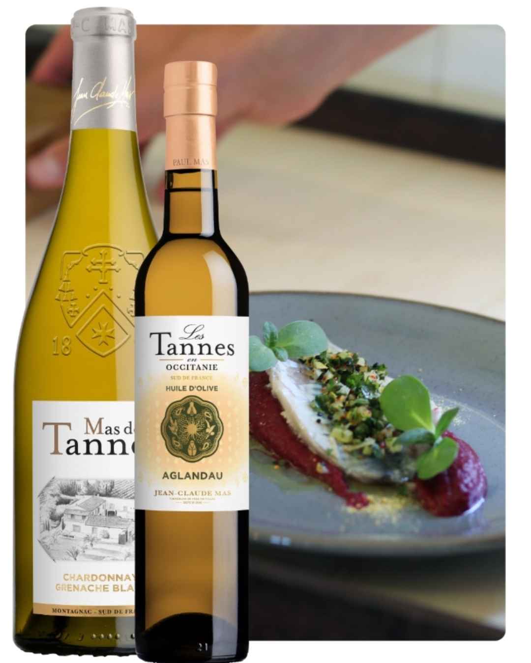 Les Tannes en Occitanie Olive Oil AGLANDAU