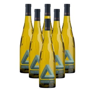 Carton de 6 bouteilles Chassaux et Fils Souvignier Gris Muscaris (75cl) 2023