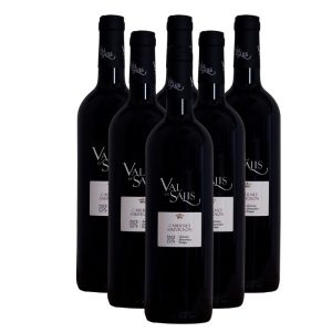 Carton de 6 bouteilles Val de Salis Cabernet Sauvignon (75cl) 2019