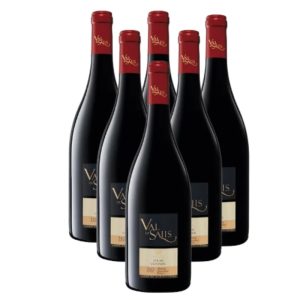 Carton de 6 bouteilles Val de Salis syrah Viognier (75cl) 2019