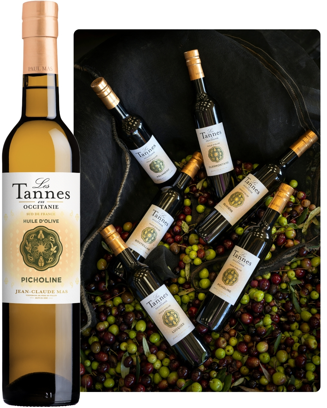FLOS OLEIL 2026 Huile d'olive les Tannes PICHOLINE (1)