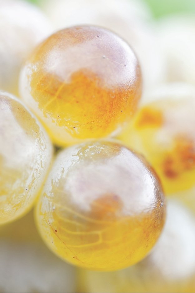 Château Arrogant Frog Limoux blanc