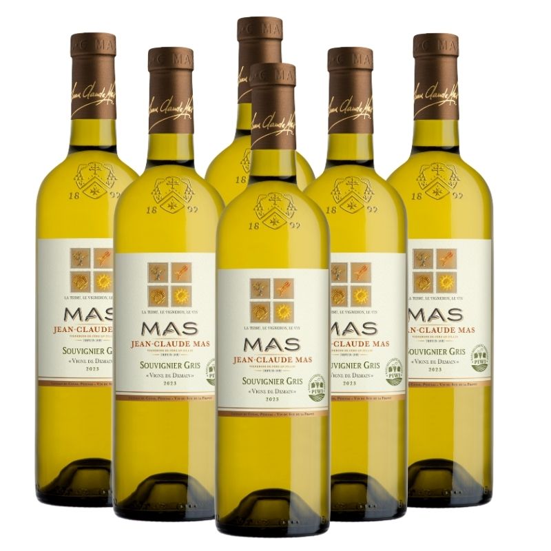 Carton de 6 Bouteilles-Jean-Claude Mas Vigne de Demain Souvignier Gris