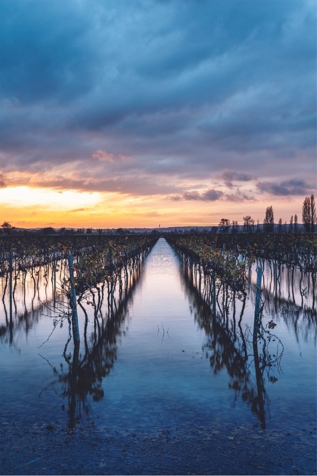 Domaine de la Ferrandière - Aigues Vives - Aude - France