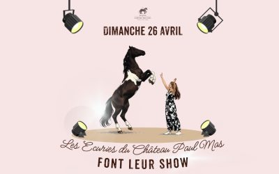 Les Écuries du Château Paul Mas font leur show : une journée immersive entre vins, chevaux et art de vivre