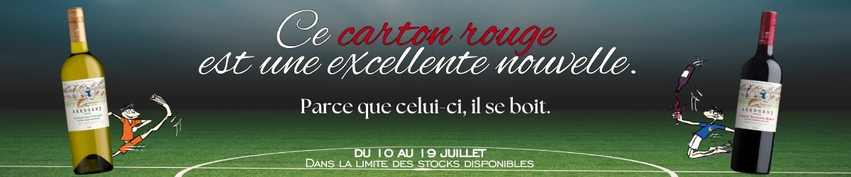 Arrogant Frog Soccer - Coupe du monde de football - soirée entre potes