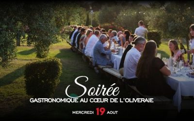 Une soirée gastronomique au cœur de l’oliveraie